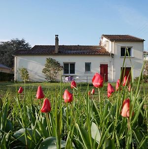 Aux Lagerstroemias Villa Bergerac Exterior photo