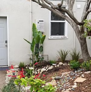 Remodeled Cottage In Berkeley/Oakland Rockridge Exterior photo