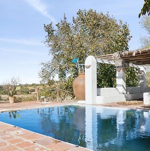 4 Bedrooms Villa With Private Pool Enclosed Garden And Wifi At Valverde de Leganés Exterior photo