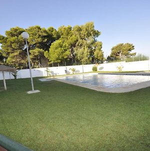 Apartamento piscina comunitaria pegado al mar Apartamento Conil De La Frontera Exterior photo