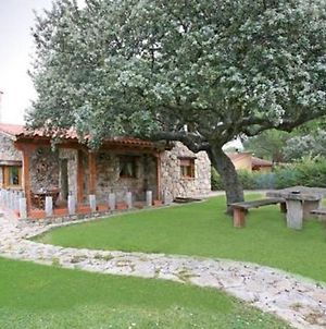 Acogedora Casa Rural hasta 8 personas en Ávila Hostal Penalba De Avila Exterior photo
