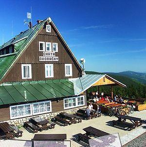 Horska Bouda Dvoracky Hotel Rokytnice nad Jizerou Exterior photo