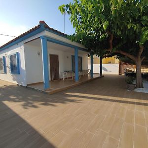 Chalet Playa Villa Benicarló Exterior photo