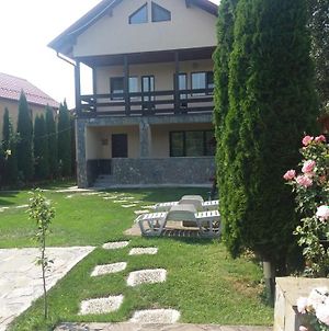 Vila Roxana Villa Comarnic Exterior photo