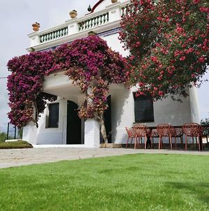 Villa Els Flamencs Amposta Exterior photo