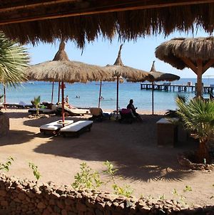 Sunshine Divers Club - Il Porto Bed and Breakfast Sharm El-Sheikh Exterior photo