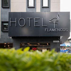 Hotel Flamencos México DF Exterior photo
