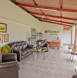 Renace Suites&Spa Tacna Exterior photo