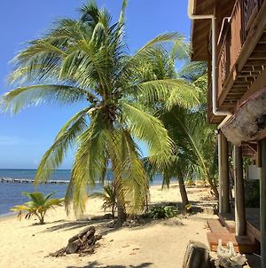 Reef Beach House - For 6 Villa Sandy Bay Exterior photo