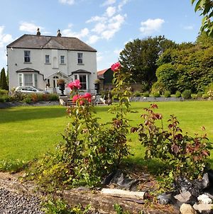 Mount Pleasant Country House Hostal Lucan Exterior photo
