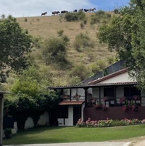 Casa rural completa en plena naturaleza Villa Eguillor Exterior photo