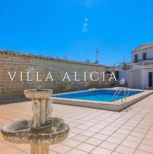 Villa Alicia en Porcuna, Jaén con Piscina y chimenea Exterior photo