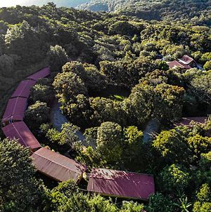 El Bosque Lodging Villa Monteverde Exterior photo