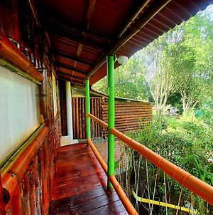 Room In Lodge - Family Cabin With River View Rizaralda Exterior photo