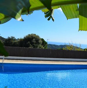 Sea View, Wonderful Pool, Nature, Peaceful Villa Sant Cebrià de Vallalta Exterior photo