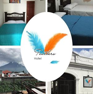 Feathers Hotel & Lounge Antigua Exterior photo