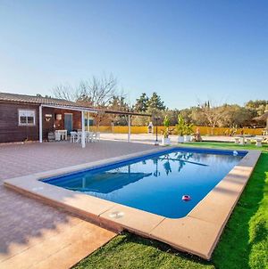 Beautiful Home In Molina De Segura With Private Swimming Pool, Outdoor Swimming Pool And Swimming Pool Exterior photo