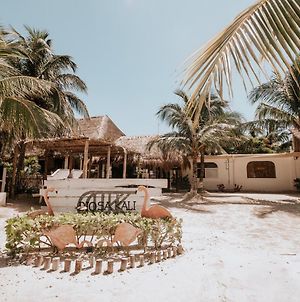 La Diosa Kali Beach Front Hotel Isla Holbox Exterior photo