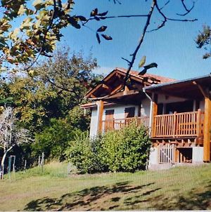 Maison De Vacances Vue Exceptionnelle Sur Les Montagnes Basque Villa Ossès Exterior photo