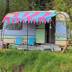 Quirky Eco Stay In A Retro Vintage Caravan Bedding Not Included, Lovely Private Area With Firepit And Eco Loo & Solar Lighting, Cheep & Chearful Narberth Exterior photo