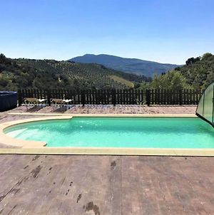 Andalusische Boerderij Met Verwarmd Zwembad En Tuin Villa Serval Exterior photo