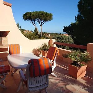6AMB38-Villa avec terrasse dans résidence avec piscine commune Collioure Exterior photo