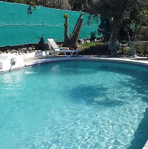 El Nido Holiday Cottage With Pool Orgiva Exterior photo
