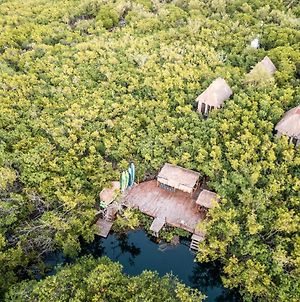 Manglex Cenote Eco Tulum Exterior photo