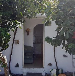 Casa rodeada de naturaleza en La Gomera Villa El Cercado Exterior photo