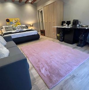 Habitación con cama extra doble más sofa cama apta hasta para 4 personas con baño privado Sant Vicent del Raspeig  Exterior photo