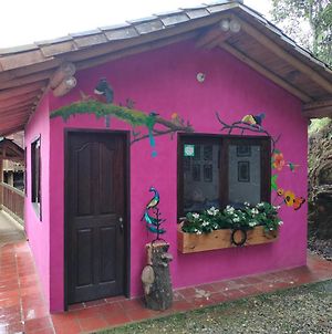 Cabana Aves Villa Rionegro Exterior photo