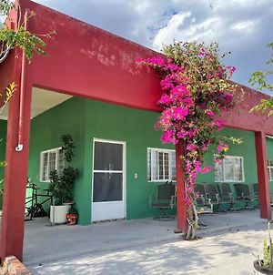 Casa de las Golondrinas -Ecohostel&Campsite- San Miguel de Allende Exterior photo