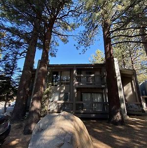 Mammoth Awesome Location-1 Min To Shuttles & Food Apartamento Mammoth Lakes Exterior photo