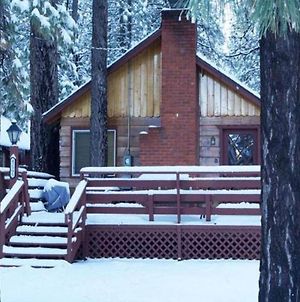 Cottage In The Pines Big Bear Lake Exterior photo