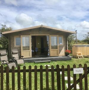 Maple Glamping Hut With Hot Tub, Ensuite, Fenced Garden, Bbq, Firepit, Alpacas On Site, Views, Dog Friendly On Anglesey, North Wales Gwredog Exterior photo