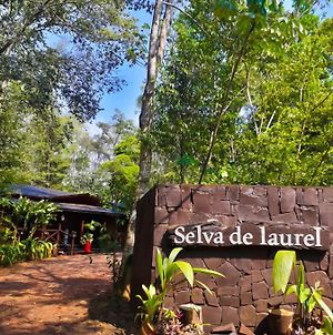 Selva de Laurel Hotel Puerto Iguazú Exterior photo
