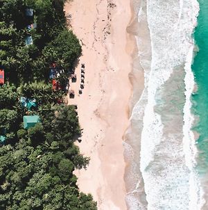 Palmar Beach Lodge Bocas del Toro Exterior photo