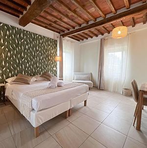 New! -Verderame Rooms & Suite In Lucca Exterior photo