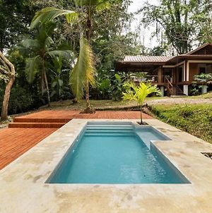 Villa Chocolatl - Stunning Jungle Pool Villa Puerto Viejo de Talamanca Exterior photo