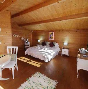 Room In Cabin - Natural Holidays Candeleda Exterior photo