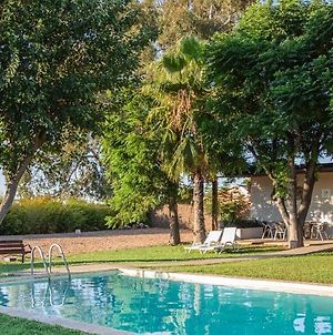 Preciosa y confortable casa de campo con piscina y chimenea Villa Carmona  Exterior photo