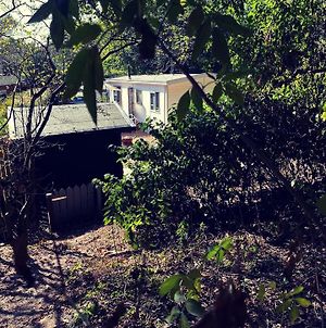 Heerlijk Bos Chalet Met Ongekende Rust En Vrijheid Villa Nunspeet Exterior photo