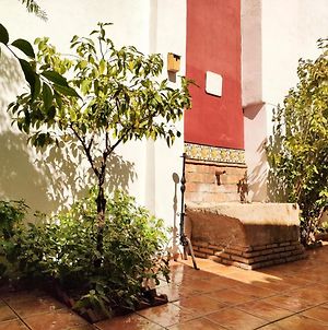 One Bedroom Appartement With City View Enclosed Garden And Wifi At Granada Exterior photo