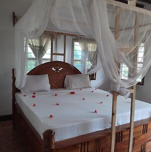 Amesbungalows Bed and Breakfast Nungwi Exterior photo
