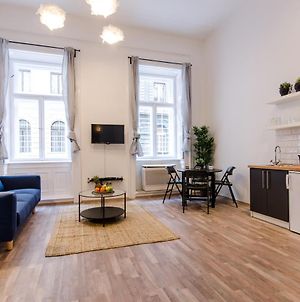 Spacious 3 Room Apartment In Downtown Budapest Exterior photo