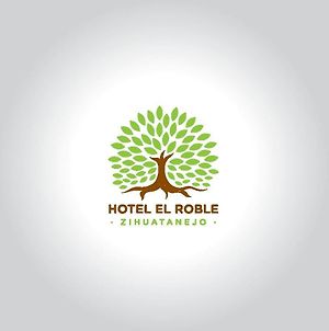 Hotel Roble Zihuatanejo Exterior photo