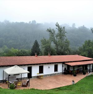 Finca La Naguada Casa Rural en Asturias Villa Beloncio Exterior photo