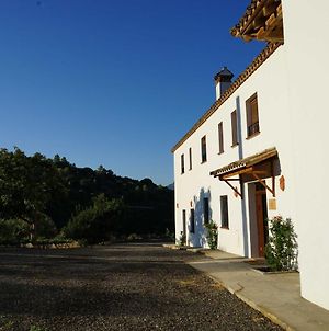 Hacienda Molino Nuevo Villa Algodonales Exterior photo