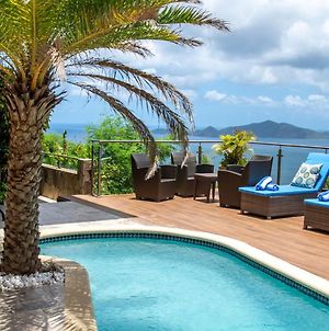 Mount Healthy Villas 6- Bedrooms With Spa & Pool Isla Tórtola Exterior photo