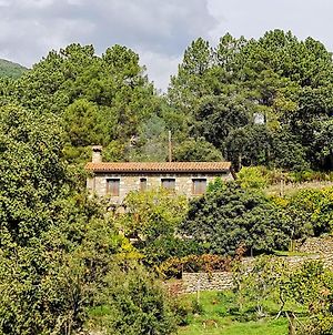 Casa Rural en Candeleda con piscina y un maravilloso jardín Villa Exterior photo